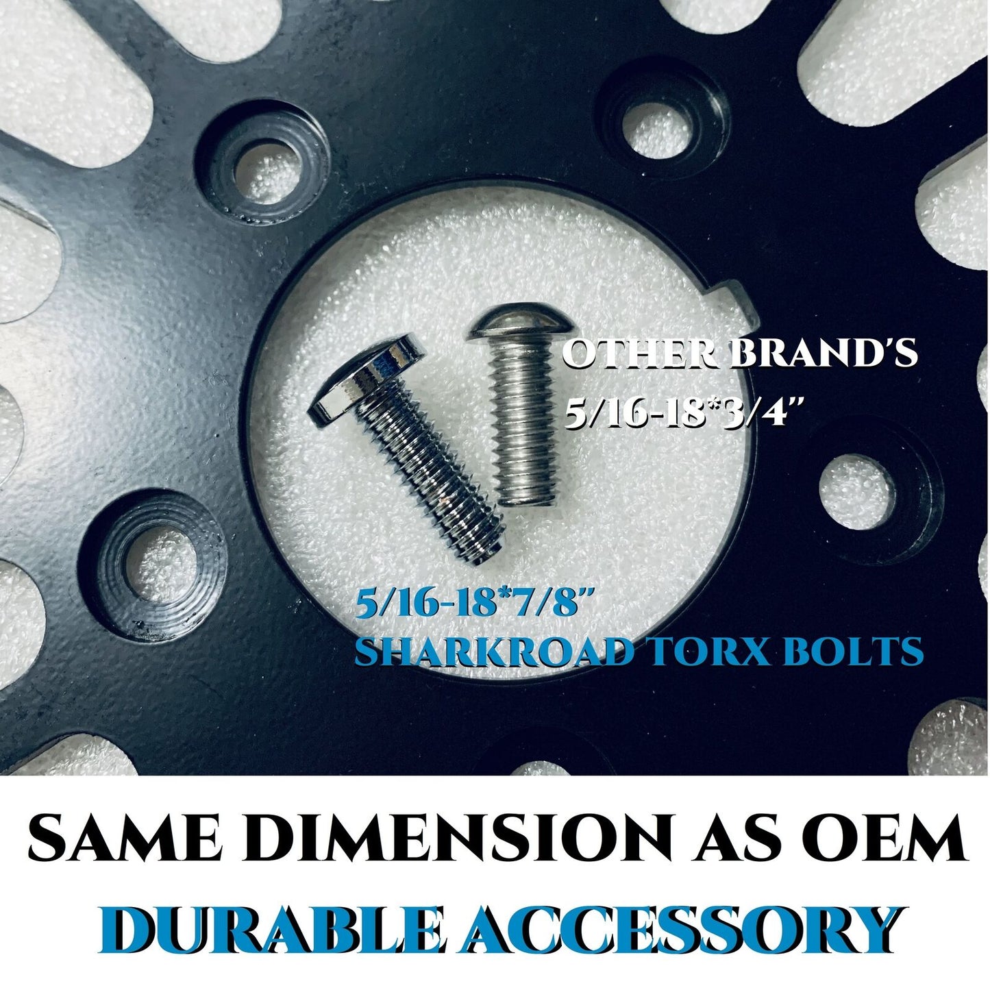 Hardened Front Rotors TORX Bolts for Harley Brake Rotors, OEM 43655 Brake Parts
